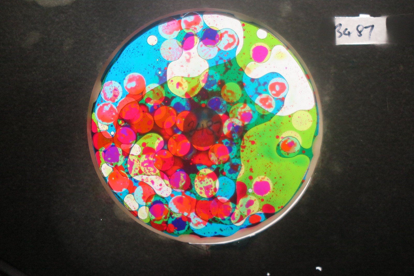 BV3487 bubble vision oil wheel